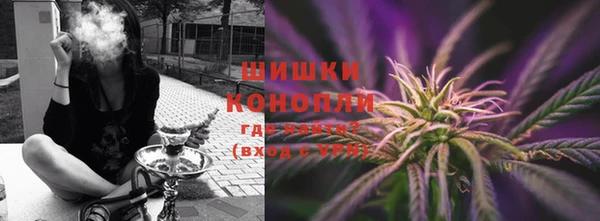 ПСИЛОЦИБИНОВЫЕ ГРИБЫ Грязи