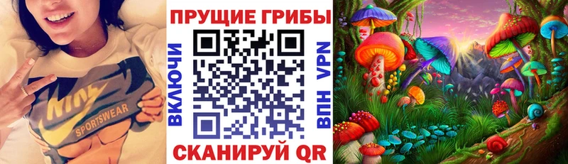 гидра Камбарка Галлюциногенные грибы Psilocybine cubensis